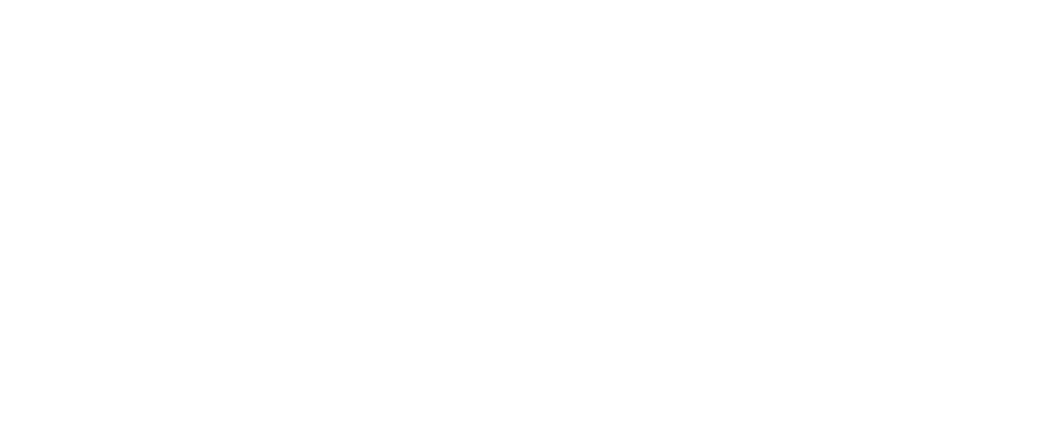 DDD-Logo-white 1